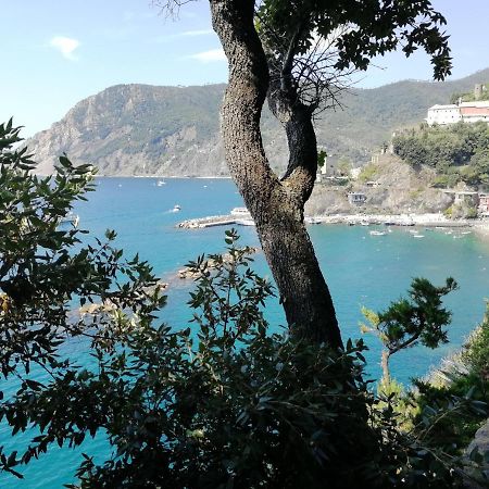 Nel Cuore Di Monterosso Cinque Terre Orto Di Ciack Monterosso al Mare Exterior foto