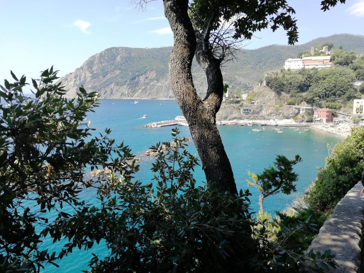 Nel Cuore Di Monterosso Cinque Terre Orto Di Ciack Monterosso al Mare Exterior foto